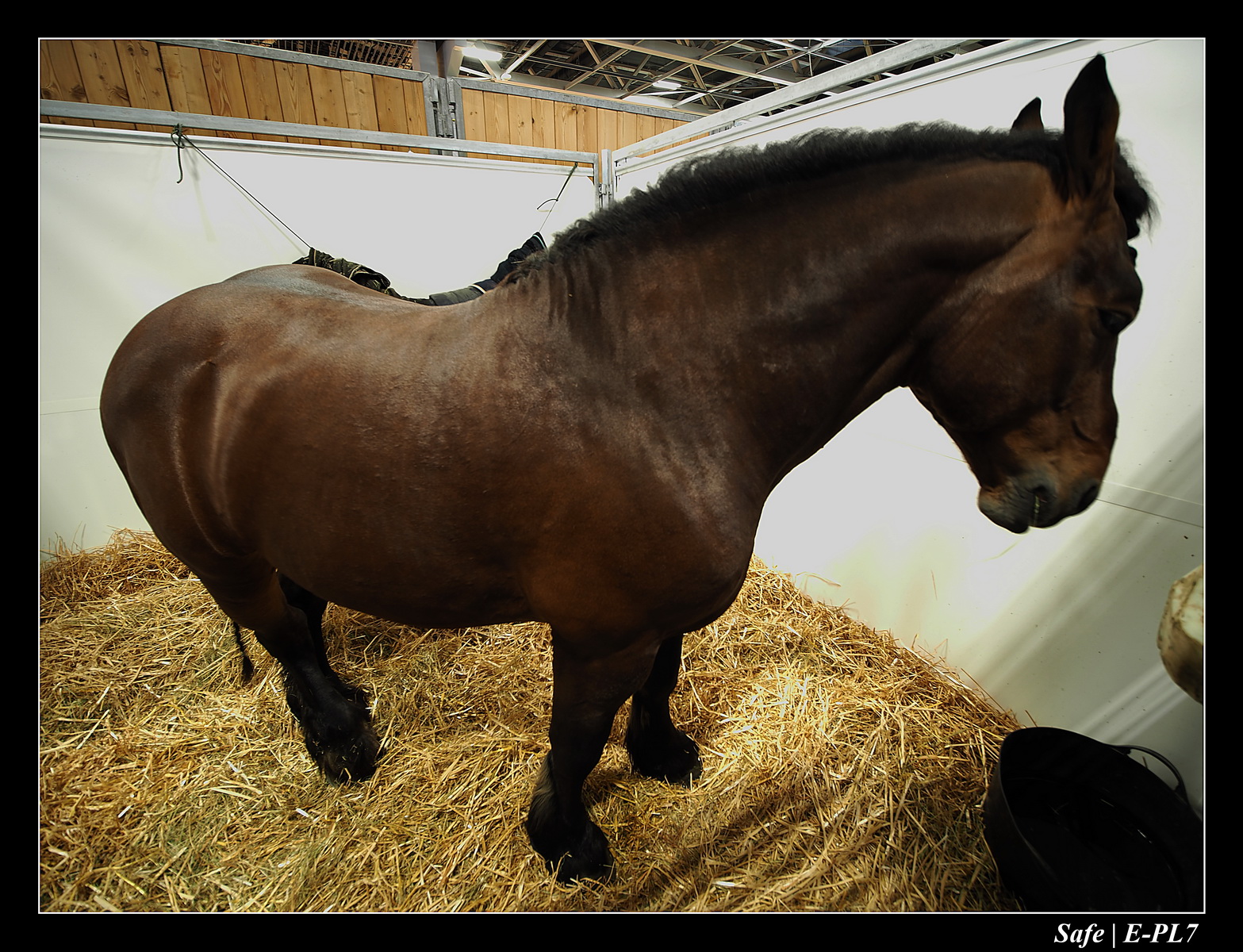 Evènements - Autres